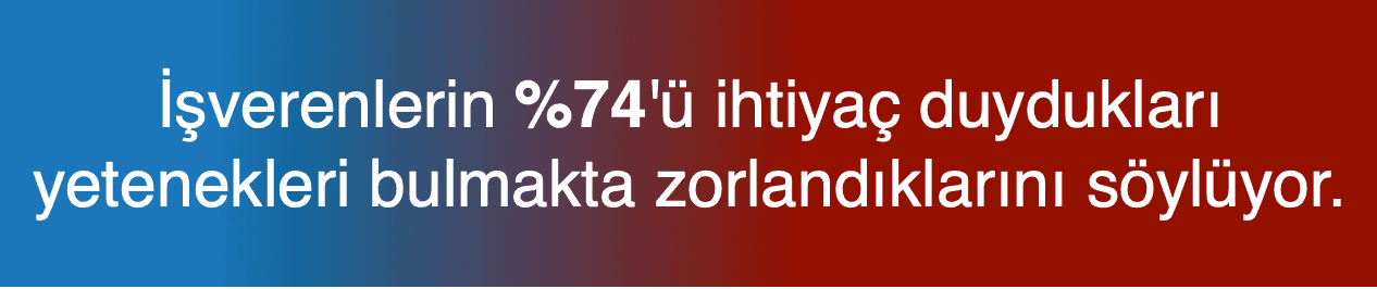 yetenek krizi_2.png