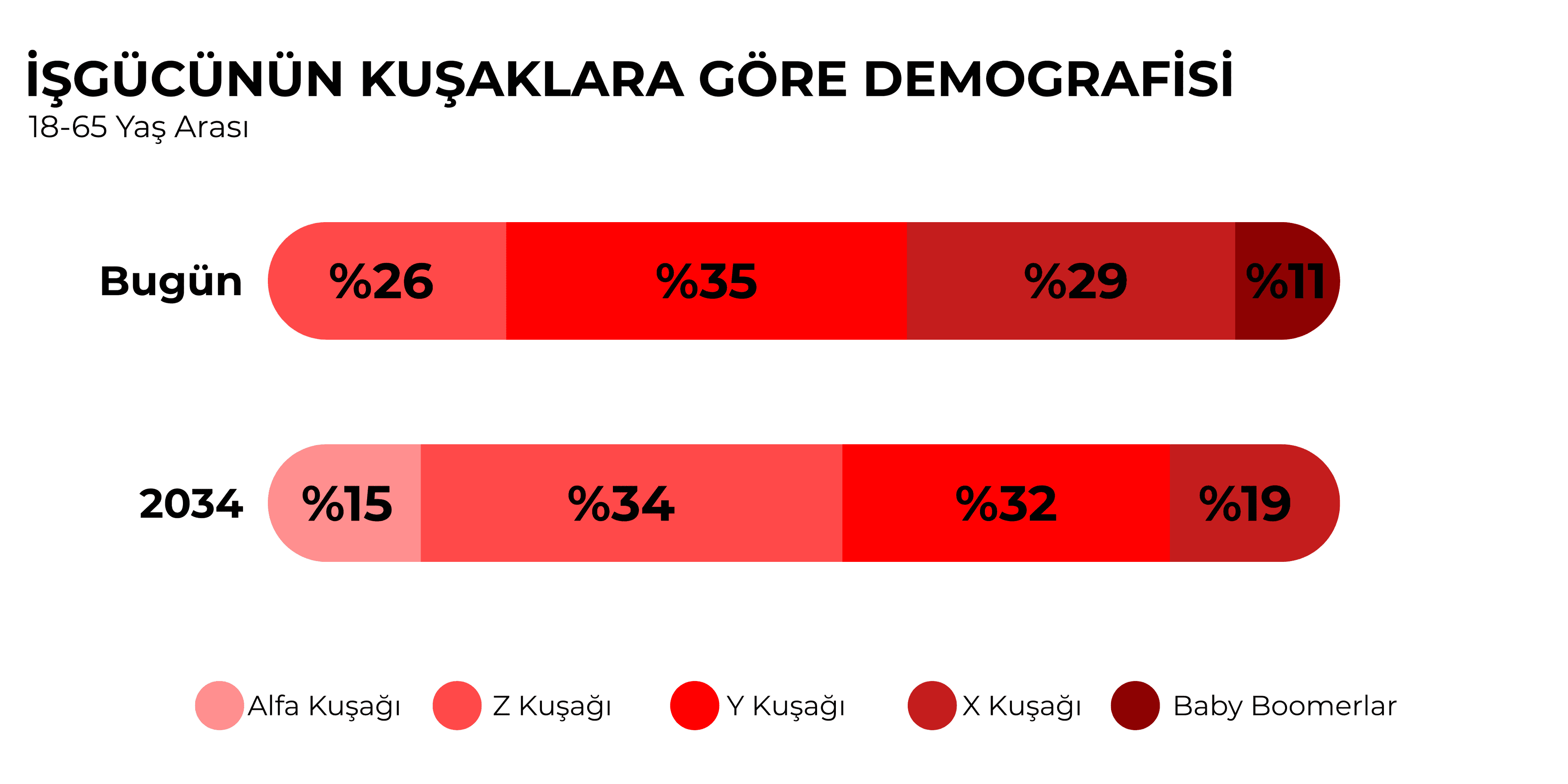 bg13_isgucu nufusu_tablo1.png